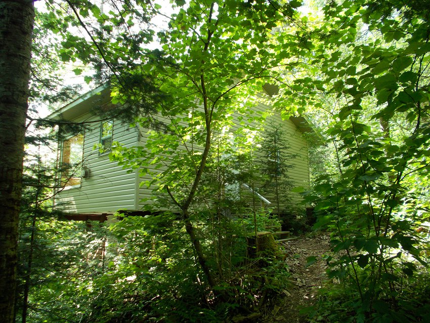 A path through the woods leads to steps to a cabin door